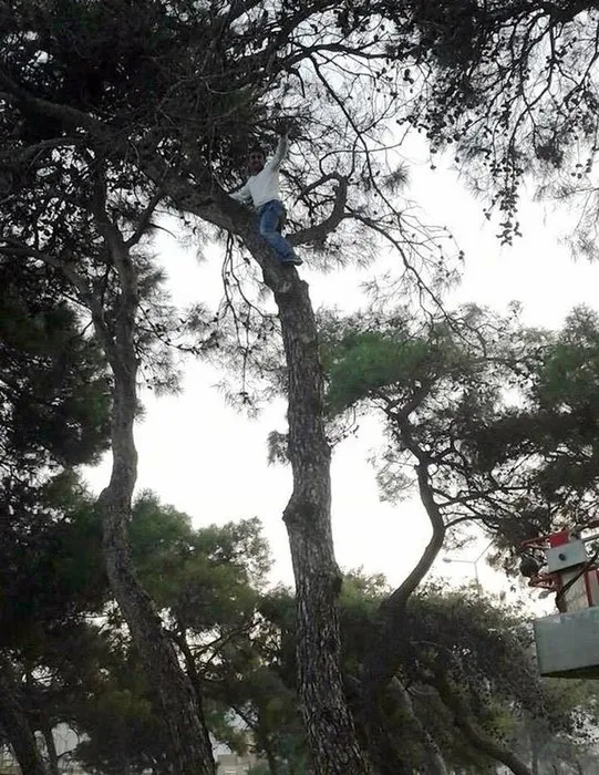 Futbolcu ağaçta mahsur kaldı