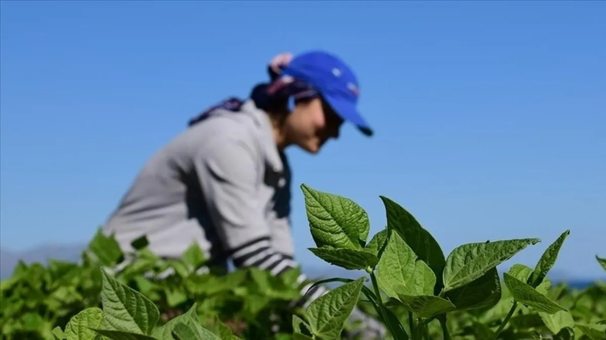Kırsal kalkınma desteklerine başvuruda son gün