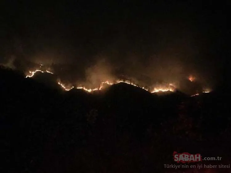 Karadeniz'de 26 noktada orman yangını: 5 ev kül oldu, tarım arazileri zarar gördü