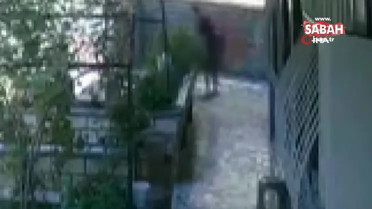 101 yaşındaki kadına kiracı kabusu! Kalçası kırılan yaşlı kadın hastaneye kaldırıldı | Video