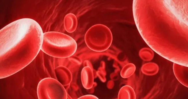 kansizlik belirtileri nelerdir ne iyi