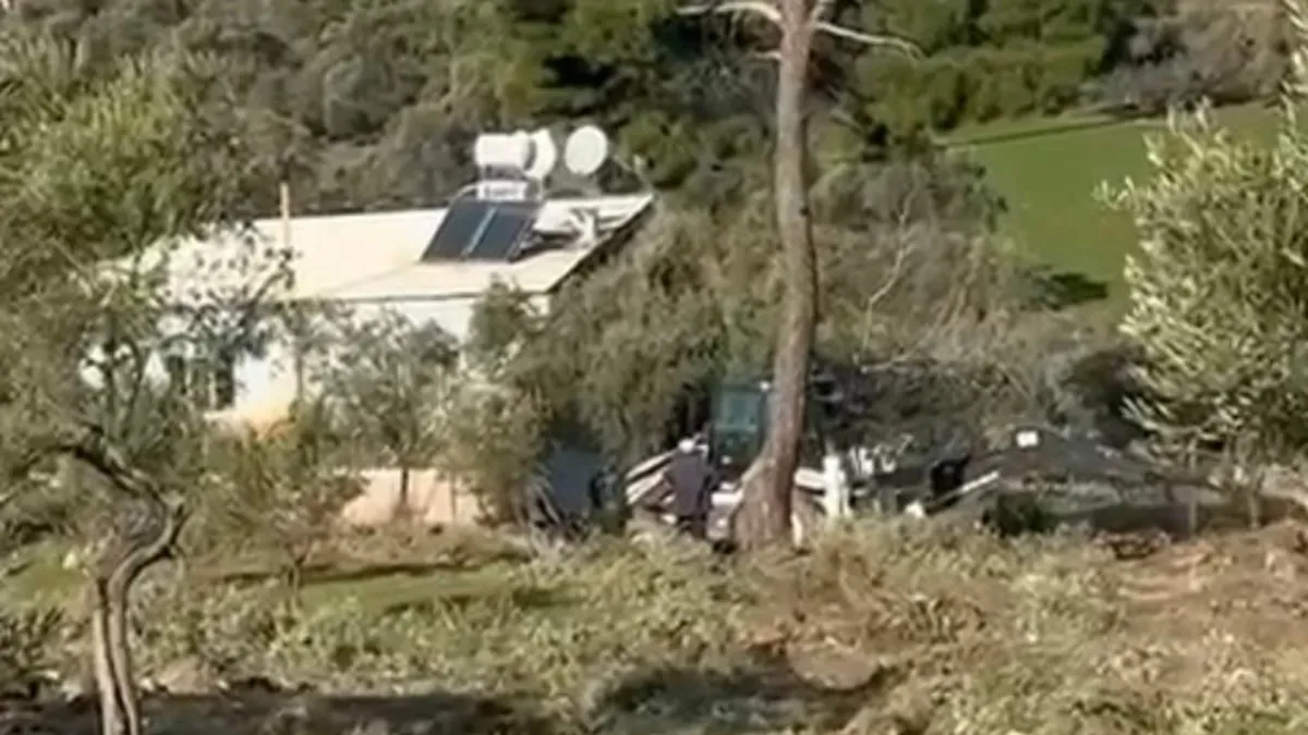 SABAH ortaya çıkarmıştı! Zeytin ağacı katliamında şok görüntüler… SABAH ortaya çıkarmıştı! Zeytin ağacı katliamında şok görüntüler…