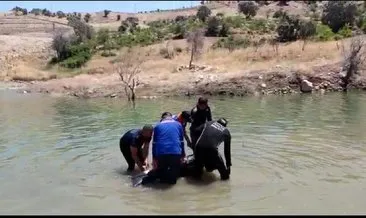 İki kız kardeş gölette boğuldu