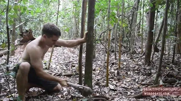 Ormanda tuğla yaptı