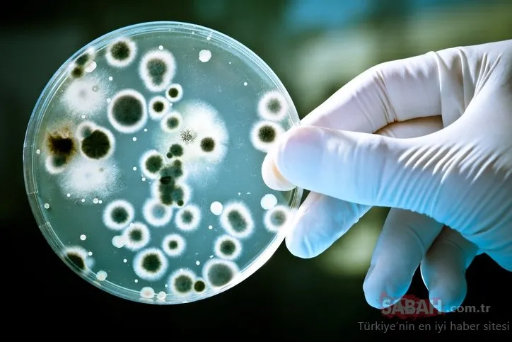 Coronavirüs ’Superbug’ tehdidini tetikledi! Her yıl 10 milyon insan ölebilir! Bilim insanları tedavi için...