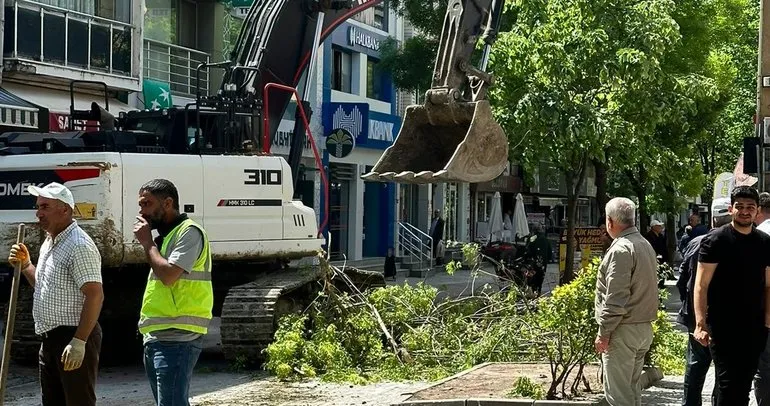 Büyükçekmece Belediyesi’nden ağaç katliamı!
