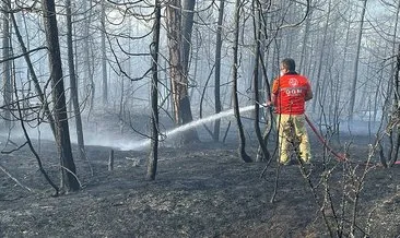 Bolu'daki orman yangını söndürüldü: Toplam 8 hektarlık alan zarar gördü #bolu