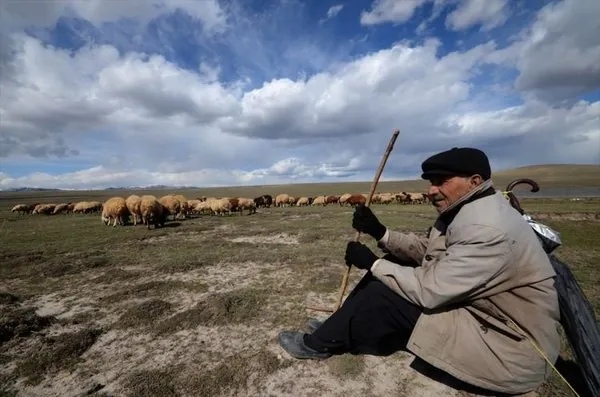 Kars'ta meralar canlanıyor