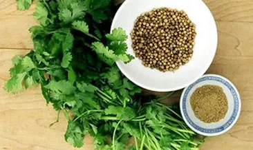 Kişnişin faydaları nelerdir? Kişniş ne işe yarar?