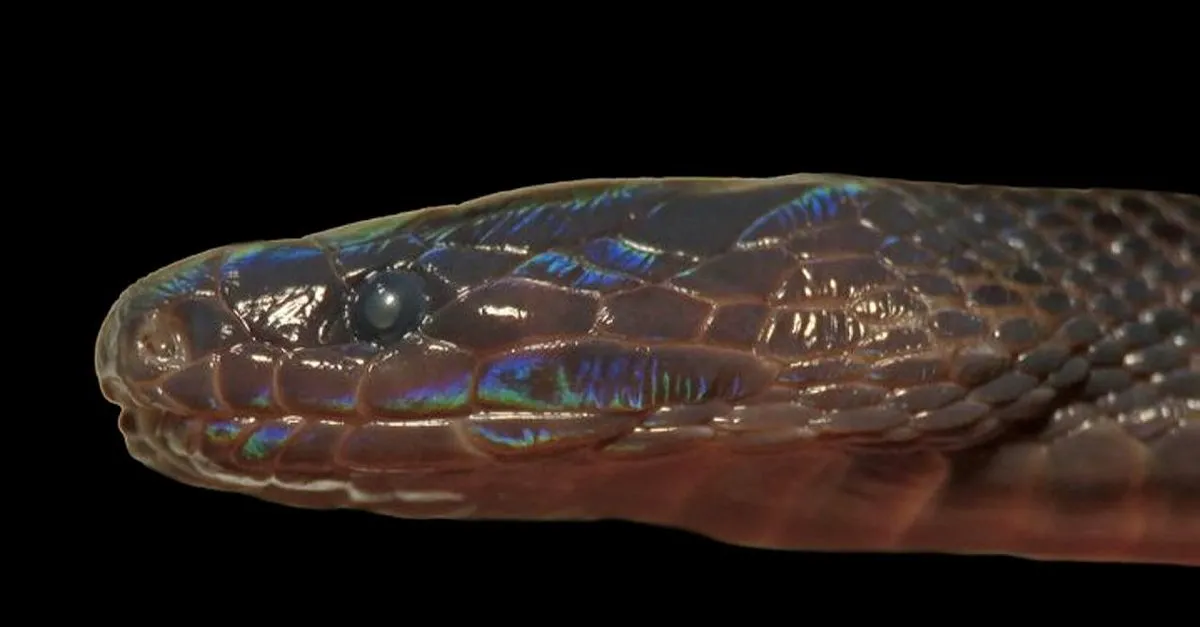 son dakika haberi bilim dunyasini