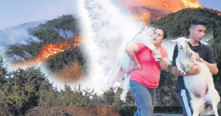 Ciğerlerimız alev alev