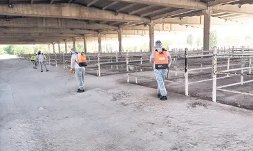 Hayvan pazarı yeniden açılıyor