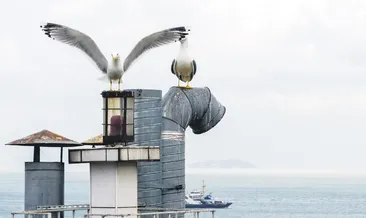 Apartmanın çatısında deniz feneri