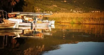 Doğal akvaryuma büyük ilgi