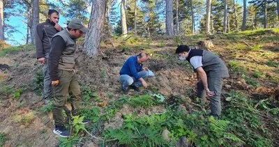 Yeşil Vatan için verilen emekler fidan oluyor Yeşil Vatan için verilen emekler fidan oluyor