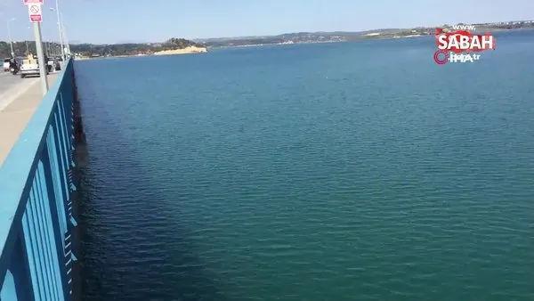 Adana'da intihara karar veren iki arkadaştan biri göle atladı diğeri vazgeçti | Video