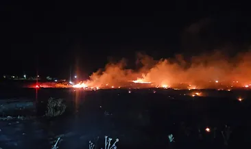 Burhaniye’de örtü yangını! Ekiplerin alevlere müdahalesi sürüyor