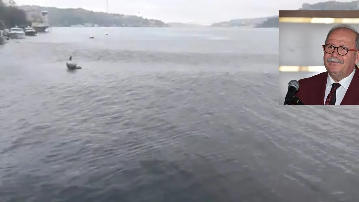 Prof. Dr. Şükrü Ersoy'dan deprem sonrası Boğaz'da oluşan görüntüyle ilgili açıklama! Marmara'da tsunami riski var mı?