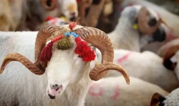 BAYRAM TATİLİ TAKVİMİ 2026: Kurban Bayramı ne zaman, hangi güne denk geliyor?