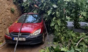Şiddetli rüzgar elektrik direğini ve incir ağacını iki aracın üzerine devirdi #istanbul