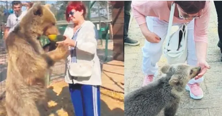 Sabıkalı ayıyla buluştu