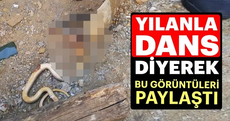 vahset goruntulerini yilanla dans