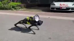 Şanghay’da sokaklarda dolaşan robot köpek gündem oldu