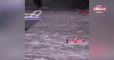 Askılı balina Rus casusu olabilir