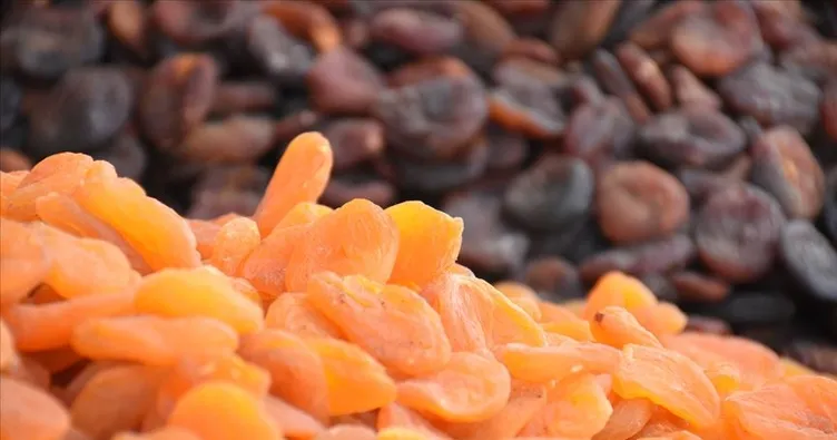 kuru kayısı ile ilgili görsel sonucu