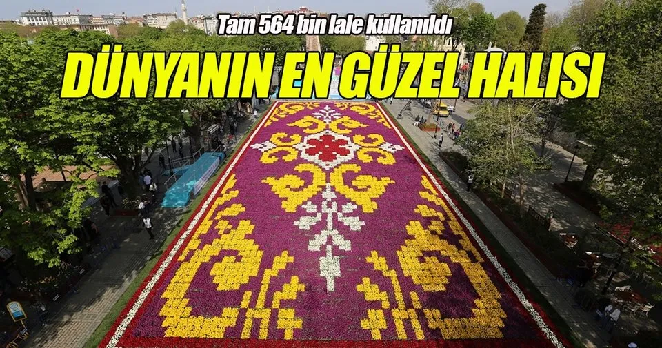 Dunyanin En Guzel Halisi Son Dakika Haberler