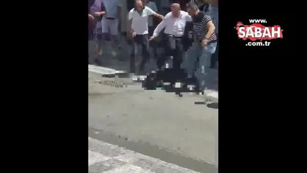 Kadıköy’de köpek kavgası... Polis sahibine ceza kesip köpeğe el koydu | Video