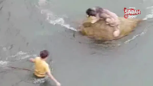 Giresun’da Harşit Çayı içindeki kayada mahsur kalan köpeği vatandaşlar böyle kurtardı