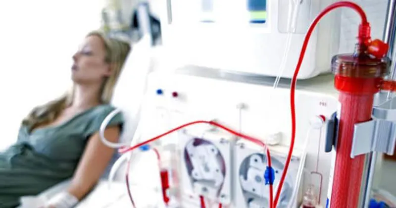 Diyaliz Bolumu Mezunlari Ne Is Yapar Diyaliz Mezunlari Nerelerde Calisir Son Dakika Egitim Haberleri