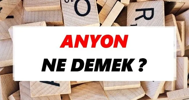 Anyon Ne Demek? TDK’ya Göre Anyon Sözlük Anlamı Nedir?