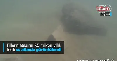 Kayseri’de 7,5 milyon yaşındaki fillerin atası su altında görüntülendi | Video
