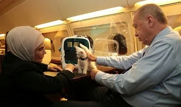 Emine Erdoğan’dan ’Hayvanları Koruma Günü’ paylaşımı! Sesi olmayanlara ses olmak insanlık vazifesidir