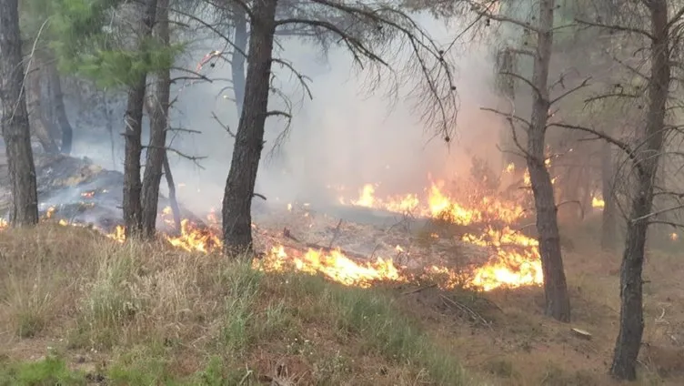 Gelibolu Yarımadası’nda orman yangını çıktı