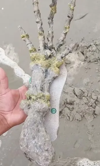 Korkunç elin gizemi! Görüntüler sosyal medyada infial yarattı