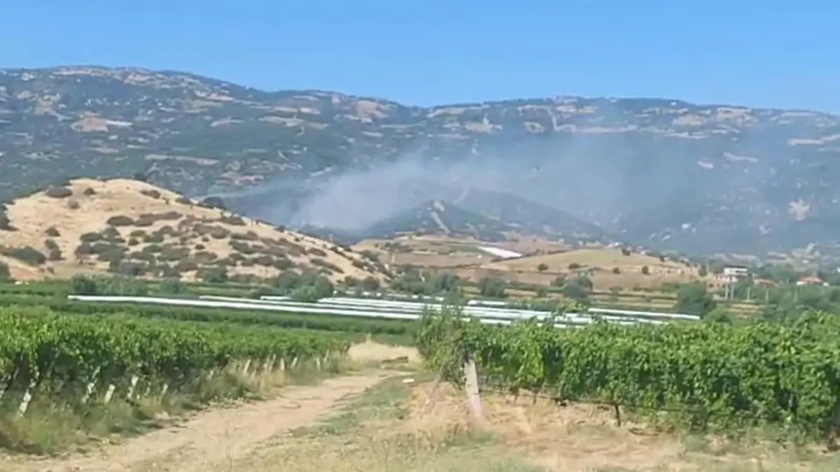 Manisa’da makilik alanda çıkan yangın ormana sıçradı! Ekiplerin müdahalesi sürüyor Manisa’da makilik alanda çıkan yangın ormana sıçradı! Ekiplerin müdahalesi sürüyor