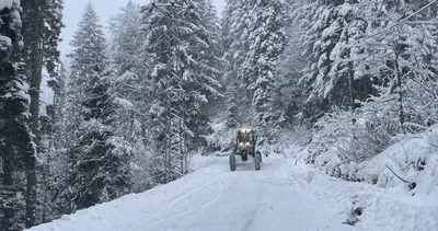 Kar yağışı nedeniyle Artvin’de 78, Giresun’da ise 3 köy yolu ulaşıma kapandı #giresun