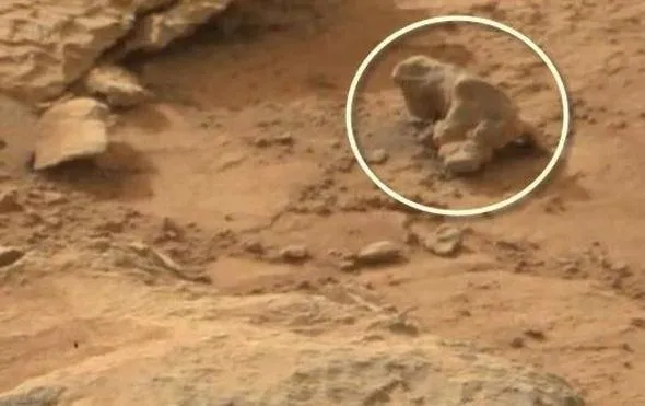 Uzayda hayat var mı sorusuna NASA'dan net yanıt... Bu kareleri ilk kez paylaştılar