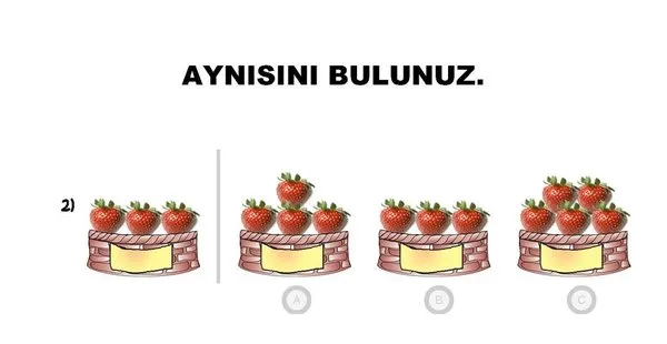 66. ay okuma öğrenmeye hazır mı?