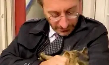 Fahrettin Altun’un kedi sevgisini binlerce kişi paylaştı