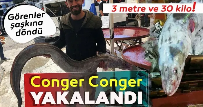 Antalya Körfezi’nde 30 kilogramlık deniz yılan balığı yakalandı