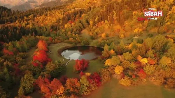 Artvin'de Macahel bölgesindeki hayran bırakan sonbahar güzelliği kamerada | Video
