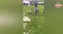 Kendilerine saldıran hindiye futbol öğrettiler | Video