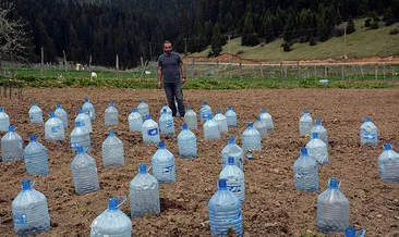 Zirai dona damacanalı çözüm