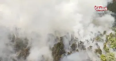 Akseki’de çıkan orman yangınına karadan ve havadan müdahale ediliyor | Video