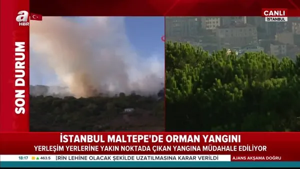 Son dakika! İstanbul Maltepe'de ormanlık alanda yangın | Video