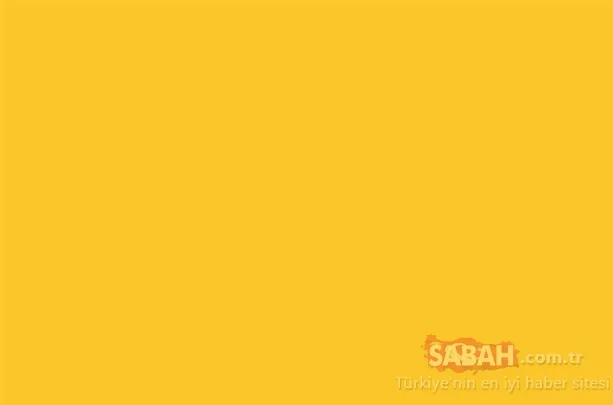 Hangi Türk boyundan geldiğinizi biliyor musunuz? Türk boylarının soyağacına göre il il dağılımı…